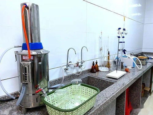 高州食品集團再添新動能 | 果鄉花生油廠正式投產，滴滴純正引領健康生活